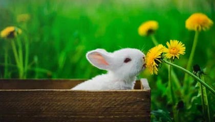 中超浙江队新帅阿洛伊西：球队将以崭新面貌迎接新赛季